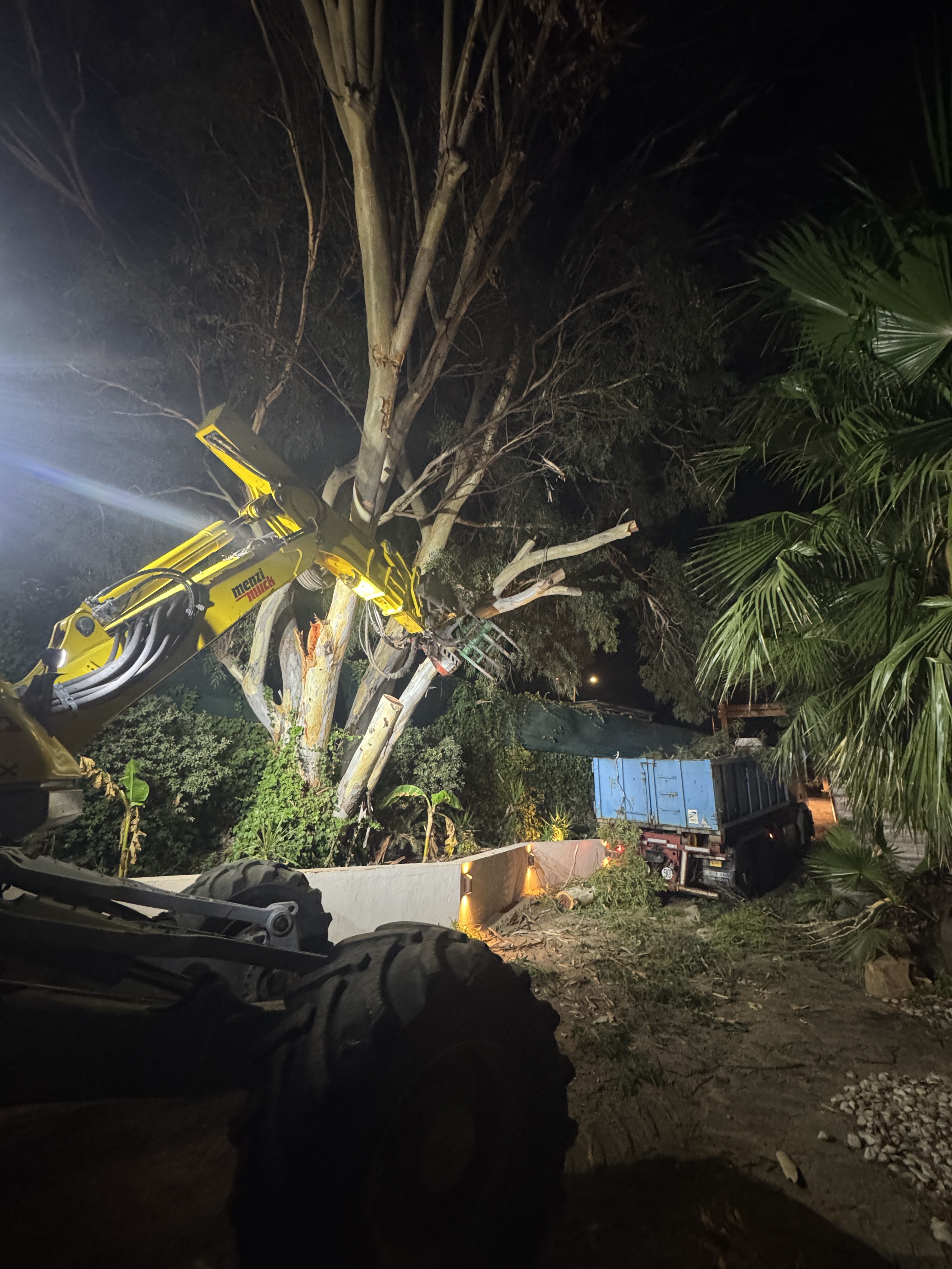 Démontage d'un eucalyptus sinistré à l'aide d'une pelle araigné en collaboration avec I Lamaghjoni par Corse Elagage