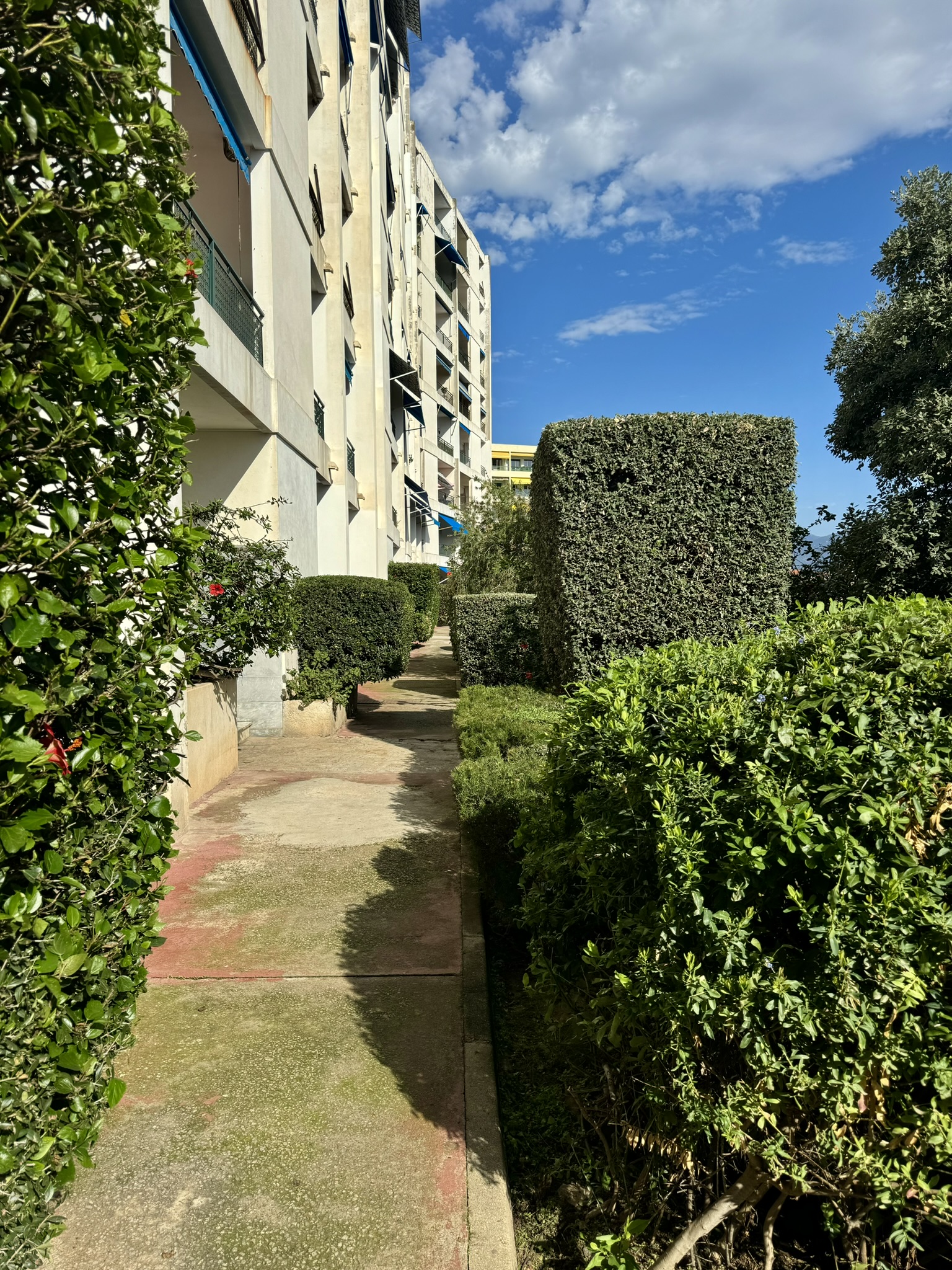 Entretien d'une résidence sur Ajaccio par Corse Elagage