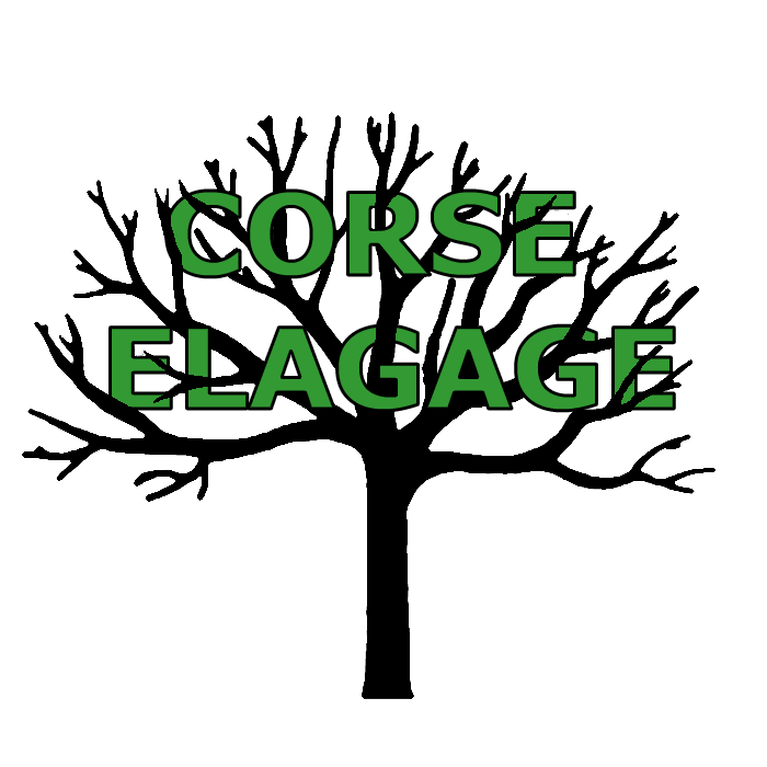CORSE ELAGAGE